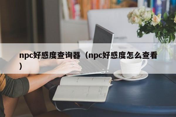 npc好感度查询器（npc好感度怎么查看）  第1张