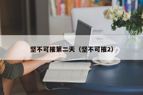 坚不可摧第二天（坚不可摧2）  第1张