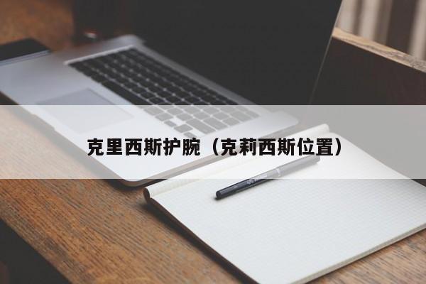 克里西斯护腕（克莉西斯位置）  第1张