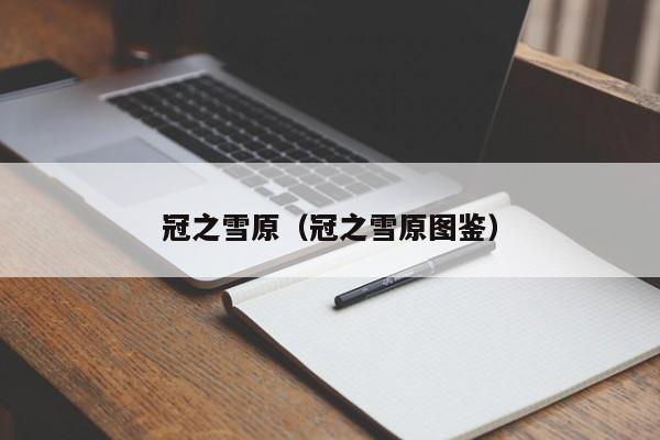 冠之雪原（冠之雪原图鉴）  第1张