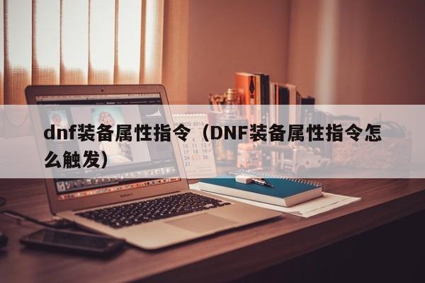 dnf装备属性指令（DNF装备属性指令怎么触发）  第1张