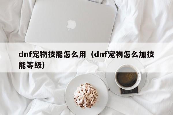dnf宠物技能怎么用（dnf宠物怎么加技能等级）  第1张