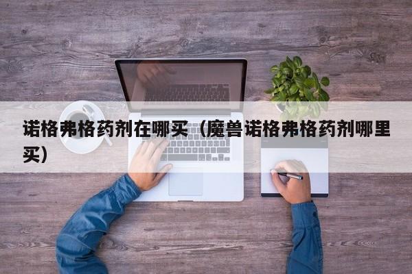 诺格弗格药剂在哪买（魔兽诺格弗格药剂哪里买）  第1张