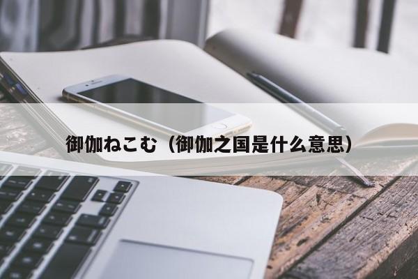 御伽ねこむ（御伽之国是什么意思）  第1张