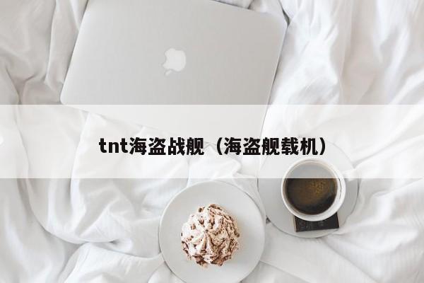 tnt海盗战舰（海盗舰载机）  第1张