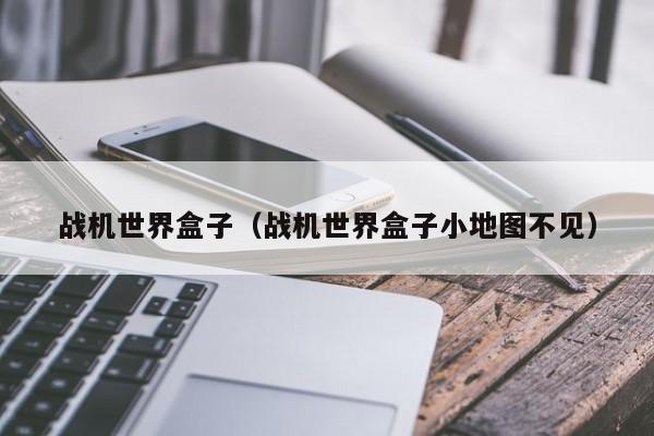 战机世界盒子（战机世界盒子小地图不见）  第1张