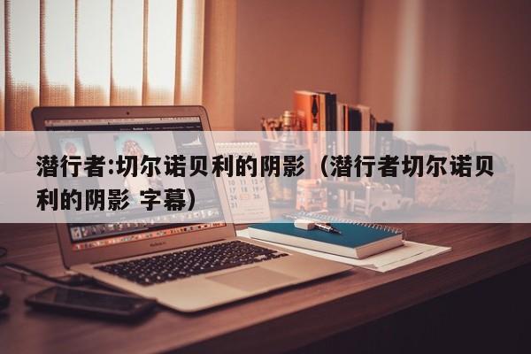潜行者:切尔诺贝利的阴影（潜行者切尔诺贝利的阴影 字幕）  第1张