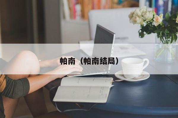 帕南（帕南结局）