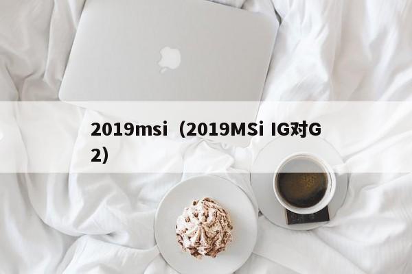 2019msi（2019MSi IG对G2）  第1张