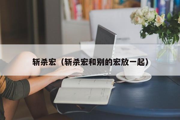 斩杀宏（斩杀宏和别的宏放一起）  第1张