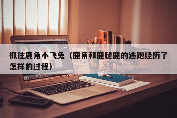 抓住鹿角小飞兔（鹿角和鹿腿鹿的逃跑经历了怎样的过程）  第1张