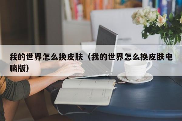 我的世界怎么换皮肤（我的世界怎么换皮肤电脑版）  第1张