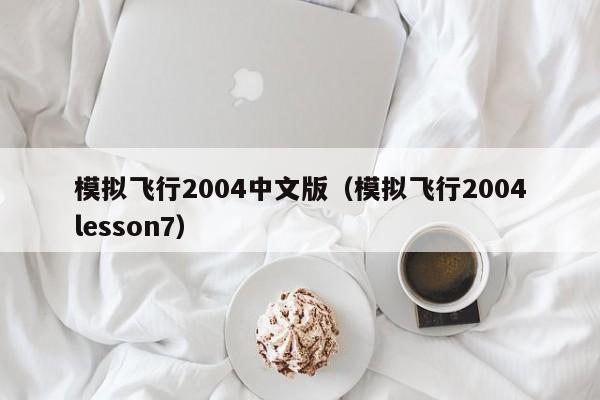 模拟飞行2004中文版（模拟飞行2004lesson7）  第1张