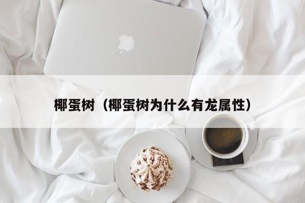 椰蛋树（椰蛋树为什么有龙属性）