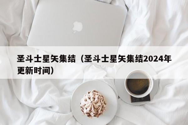 圣斗士星矢集结（圣斗士星矢集结2024年更新时间）  第1张