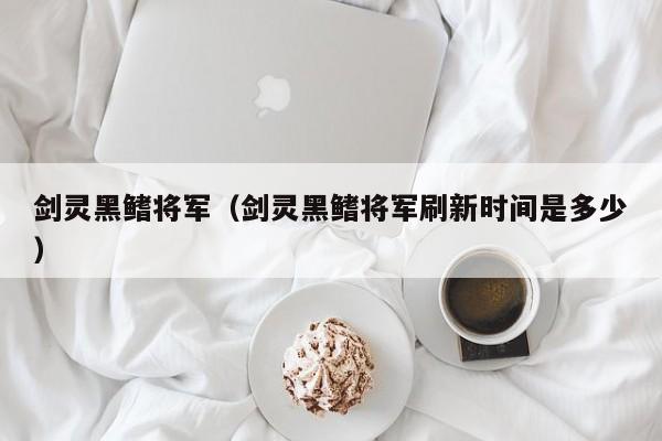 剑灵黑鳍将军（剑灵黑鳍将军刷新时间是多少）  第1张