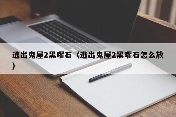 逃出鬼屋2黑曜石（逃出鬼屋2黑曜石怎么放）  第1张