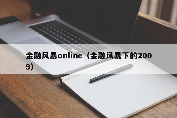 金融风暴 *** （金融风暴下的2009）  第1张