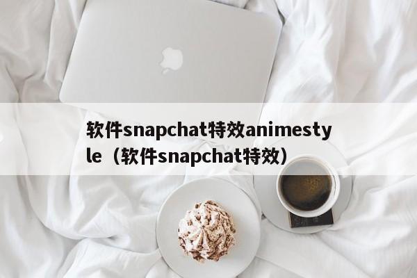 软件snap特效animestyle（软件snap特效）