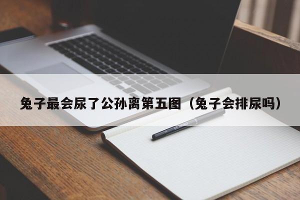 兔子最会尿了公孙离第五图（兔子会排尿吗）  第1张