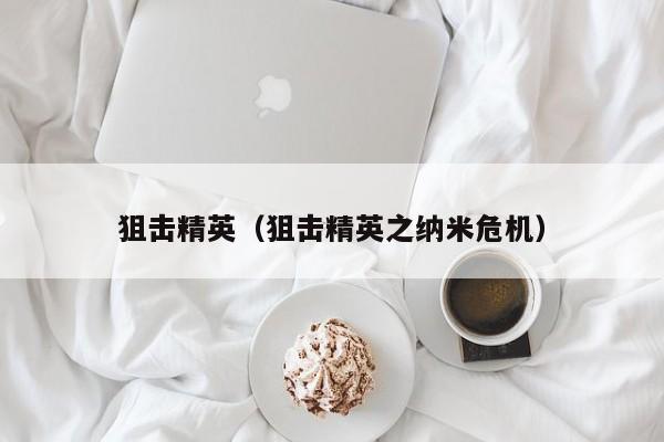 狙击精英（狙击精英之纳米危机）  第1张