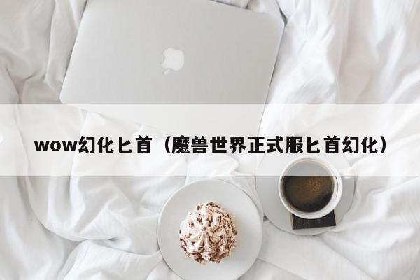 wow幻化匕首（魔兽世界正式服匕首幻化）  第1张