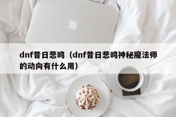 dnf昔日悲鸣（dnf昔日悲鸣神秘魔法师的动向有什么用）  第1张