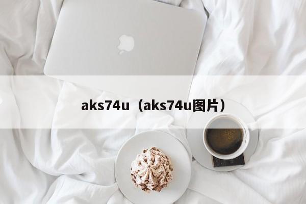 aks74u（aks74u图片）
