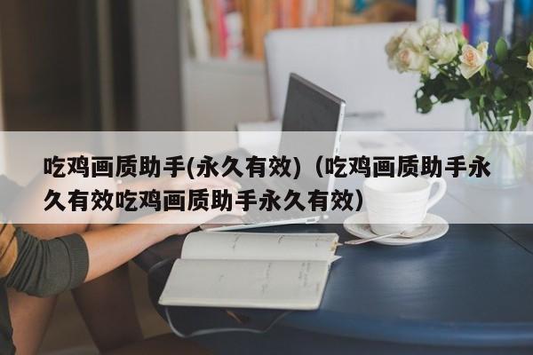 吃鸡画质助手(永久有效)（吃鸡画质助手永久有效吃鸡画质助手永久有效）  第1张