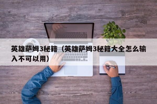 英雄萨姆3秘籍（英雄萨姆3秘籍大全怎么输入不可以用）  第1张