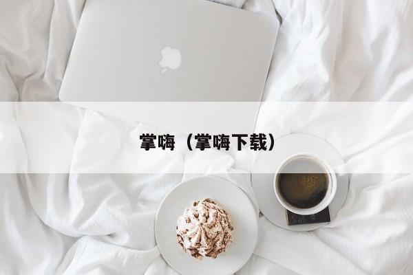 掌嗨（掌嗨下载）  第1张