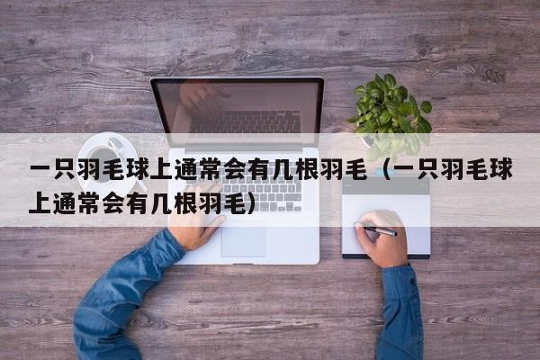 一只羽毛球上通常会有几根羽毛（一只羽毛球上通常会有几根羽毛）  第1张