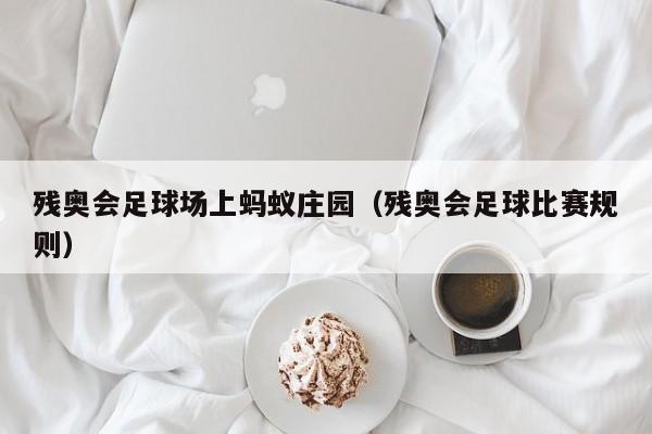 残奥会足球场上蚂蚁庄园（残奥会足球比赛规则）  第1张