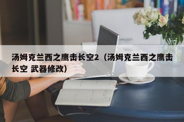 汤姆克兰西之鹰击长空2（汤姆克兰西之鹰击长空 武器修改）  第1张