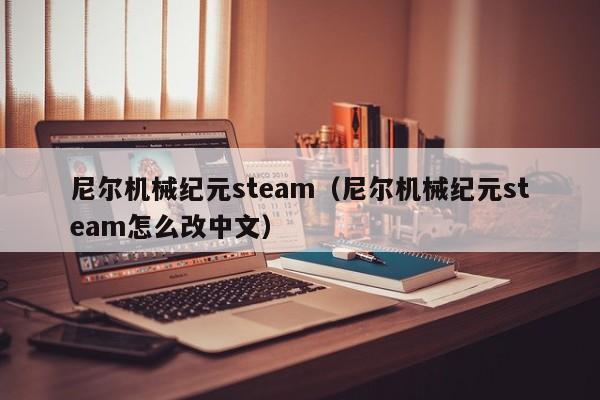 尼尔机械纪元s（尼尔机械纪元s怎么改中文）  第1张