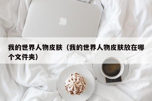 我的世界人物皮肤（我的世界人物皮肤放在哪个文件夹）  第1张