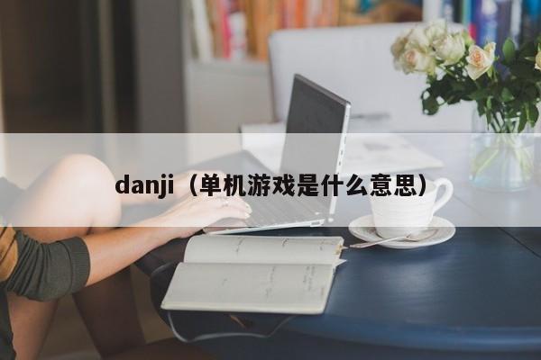 danji（单机是什么意思）  第1张