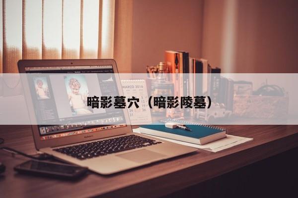 暗影墓穴（暗影陵墓）  第1张