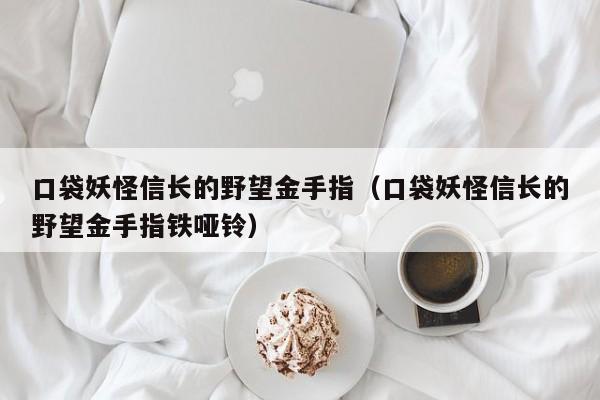 口袋妖怪信长的野望金手指（口袋妖怪信长的野望金手指铁哑铃）  第1张