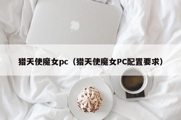 猎天使魔女pc（猎天使魔女PC配置要求）