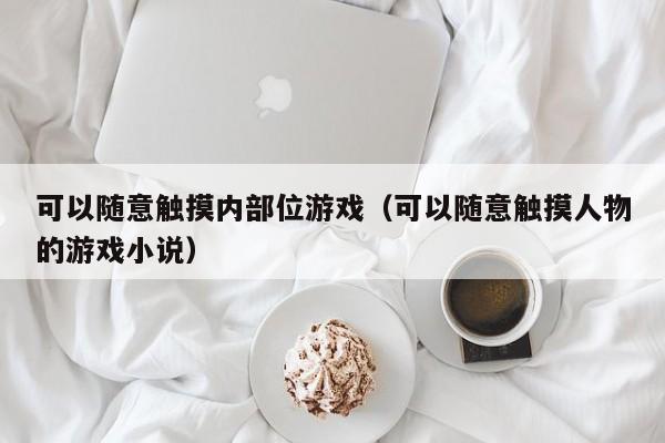 可以随意触摸内部位（可以随意触摸人物的小说）  第1张
