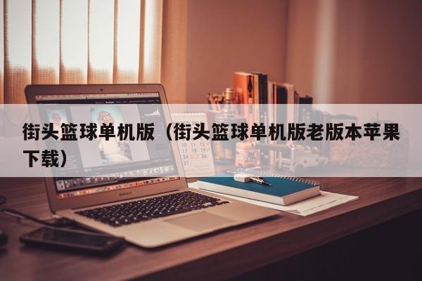 街头篮球单机版（街头篮球单机版老版本苹果下载）