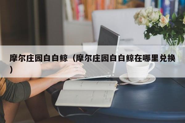 摩尔庄园白白鲸（摩尔庄园白白鲸在哪里兑换）  第1张