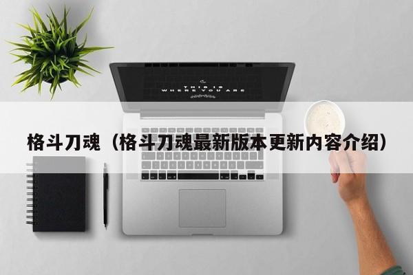 格斗刀魂（格斗刀魂最新版本更新内容介绍）  第1张