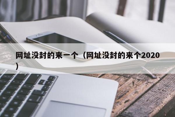没封的来一个（没封的来个2020）  第1张